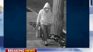 January 6 Pipe Bomber Suspect Identified as Black Anarchist