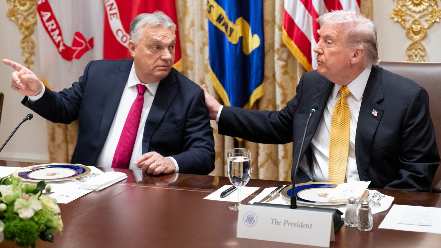 America First, Europe Reclaimed: The NSS and the Rise of Civilizational Allies