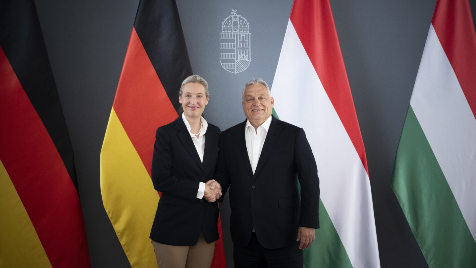 Alice Weidel: Orbán Is the Only Guarantee Ukraine Will Not Join the EU