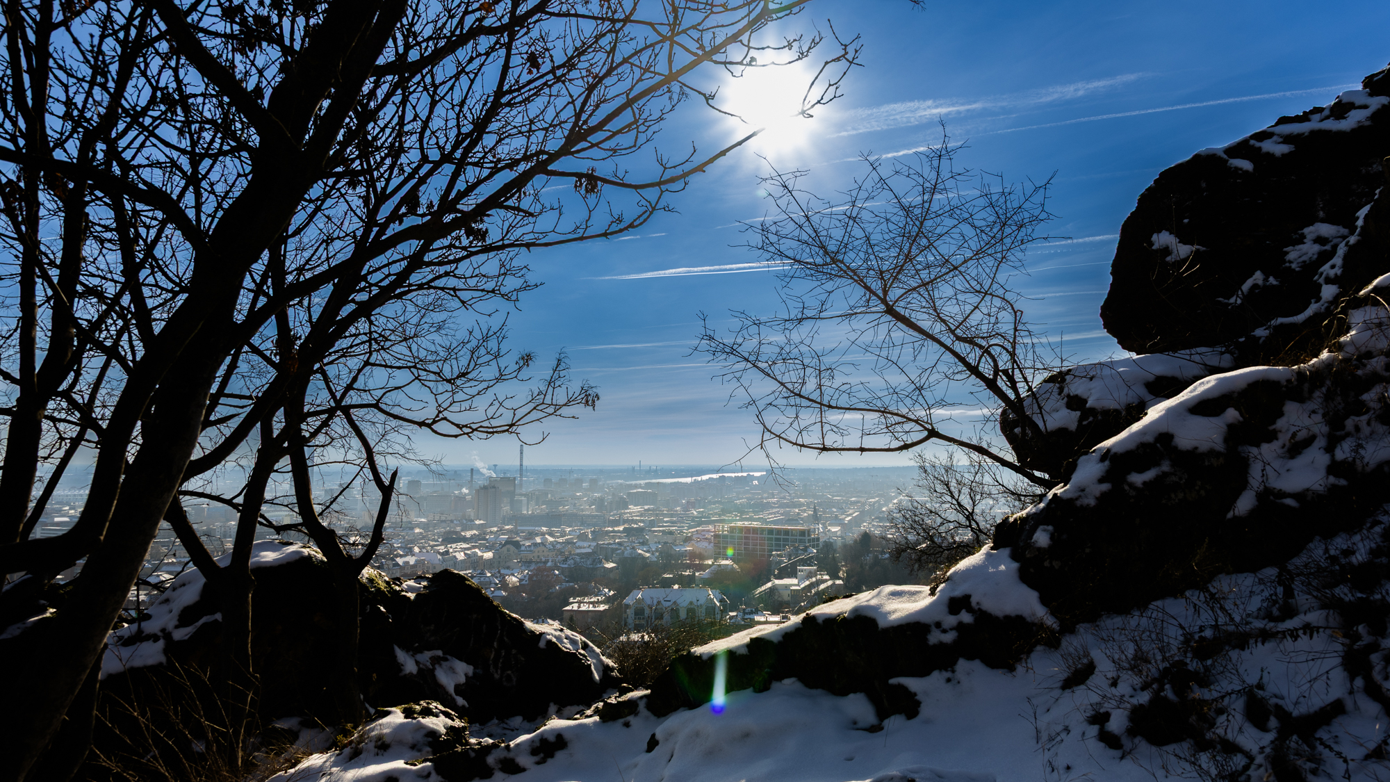 Hungary Posts January Surplus as 2026 Budget Prioritizes Domestic Support