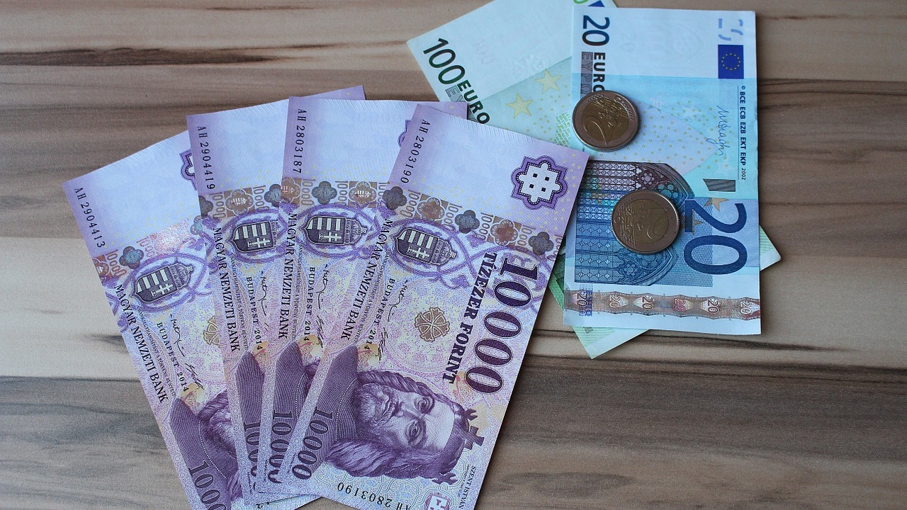 Hungarian National Bank Cuts Interest Rate for the First Time in Over a Year