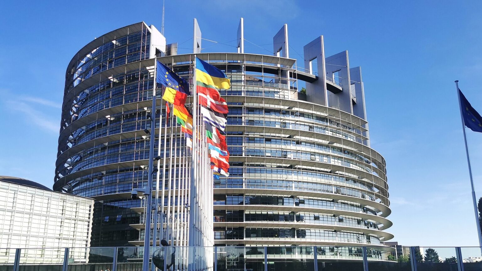 Omnibus Europe: Has Bureaucracy Really Been Reduced?