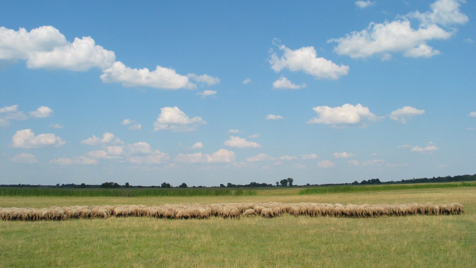 Save a Region, Honour a Culture: The Great Plain of Hungary